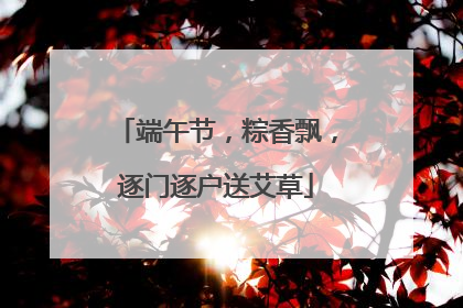端午节，粽香飘，逐门逐户送艾草