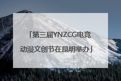 第三届YNZCG电竞动漫文创节在昆明举办