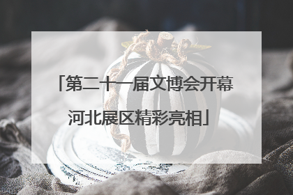 第二十一届文博会开幕 河北展区精彩亮相