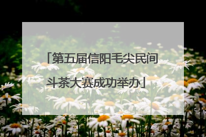 第五届信阳毛尖民间斗茶大赛成功举办