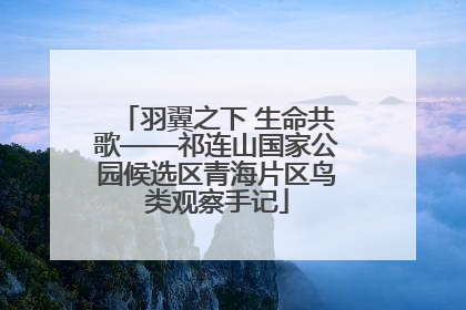 羽翼之下 生命共歌——祁连山国家公园候选区青海片区鸟类观察手记