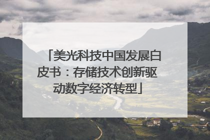 美光科技中国发展白皮书：存储技术创新驱动数字经济转型