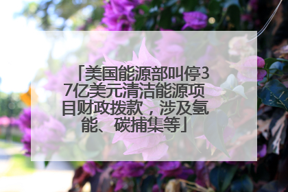 美国能源部叫停37亿美元清洁能源项目财政拨款，涉及氢能、碳捕集等