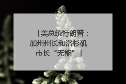 美总统特朗普：加州州长和洛杉矶市长“无能”