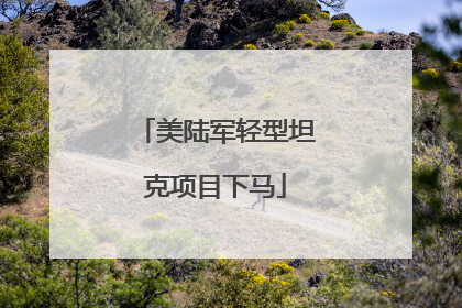 美陆军轻型坦克项目下马