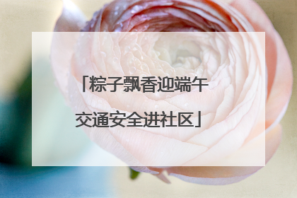 粽子飘香迎端午 交通安全进社区