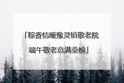 粽香情暖豫灵镇敬老院 端午敬老意满桑榆
