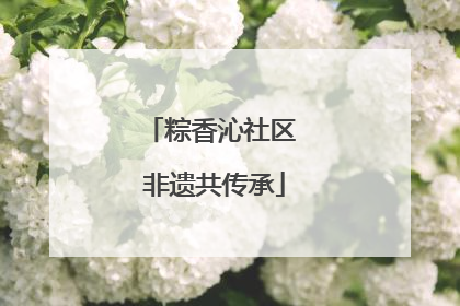 粽香沁社区 非遗共传承