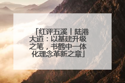 红评五溪丨陆港大道：以基建升级之笔，书鹤中一体化理念革新之章