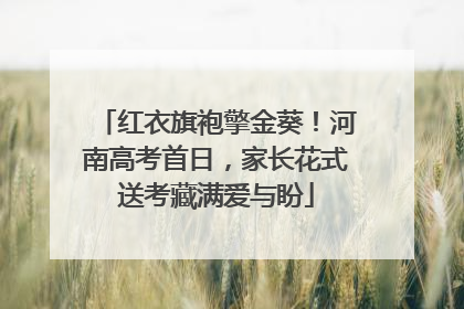 红衣旗袍擎金葵！河南高考首日，家长花式送考藏满爱与盼