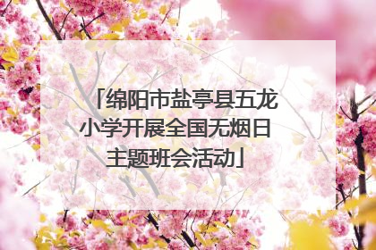 绵阳市盐亭县五龙小学开展全国无烟日主题班会活动