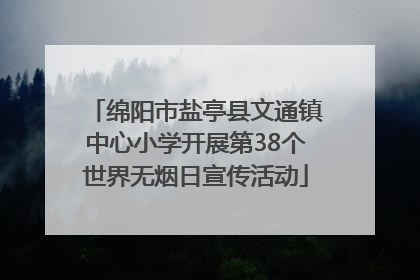 绵阳市盐亭县文通镇中心小学开展第38个世界无烟日宣传活动