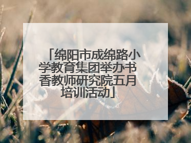 绵阳市成绵路小学教育集团举办书香教师研究院五月培训活动