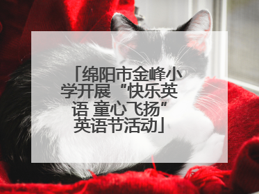 绵阳市金峰小学开展“快乐英语 童心飞扬”英语节活动