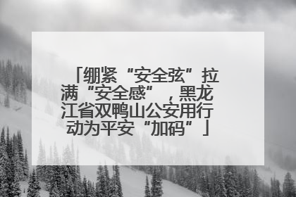 绷紧“安全弦”拉满“安全感”，黑龙江省双鸭山公安用行动为平安“加码”
