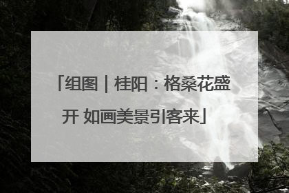 组图｜桂阳：格桑花盛开 如画美景引客来