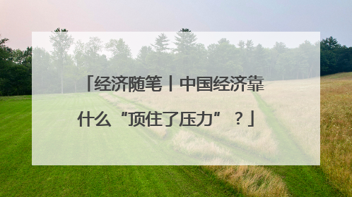 经济随笔丨中国经济靠什么“顶住了压力”？