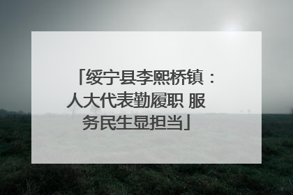 绥宁县李熙桥镇：人大代表勤履职 服务民生显担当