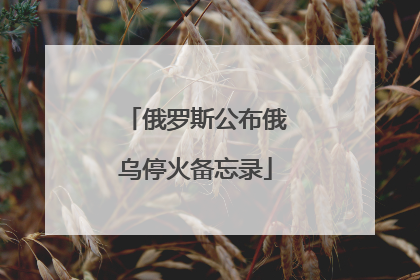 俄罗斯公布俄乌停火备忘录