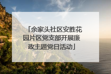 余家头社区安胜花园片区党支部开展廉政主题党日活动