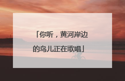 你听，黄河岸边的鸟儿正在歌唱