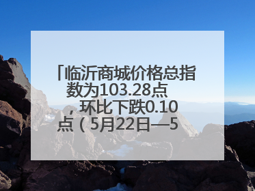 临沂商城价格总指数为103.28点，环比下跌0.10点（5月22日—5月28日）