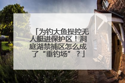 为钓大鱼操控无人艇进保护区！洞庭湖禁捕区怎么成了“垂钓场”？