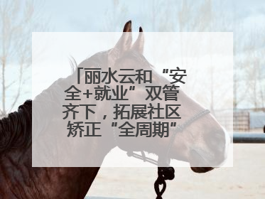 丽水云和“安全+就业”双管齐下，拓展社区矫正“全周期”管理新路径
