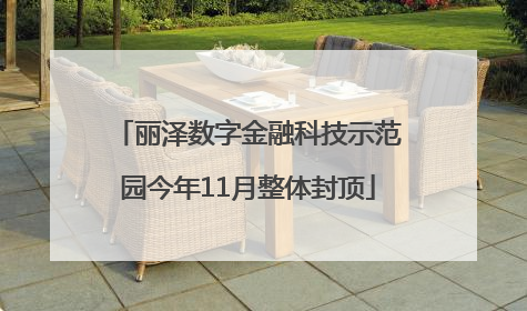 丽泽数字金融科技示范园今年11月整体封顶