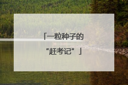 一粒种子的“赶考记”