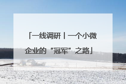 一线调研丨一个小微企业的“冠军”之路