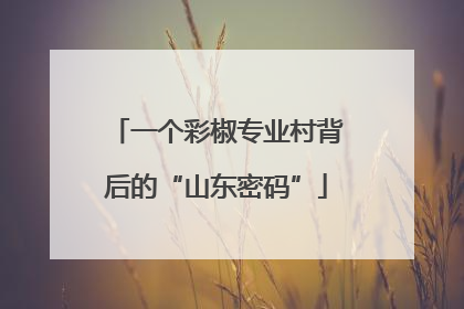 一个彩椒专业村背后的“山东密码”