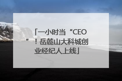 一小时当“CEO”！岳麓山大科城创业经纪人上线