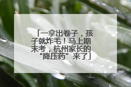 一拿出卷子，孩子就炸毛！马上期末考，杭州家长的“降压药”来了