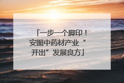 一步一个脚印！安图中药材产业“开出”发展良方