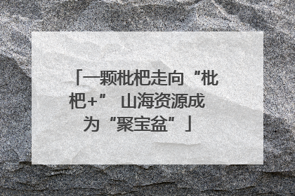 一颗枇杷走向“枇杷+” 山海资源成为“聚宝盆”