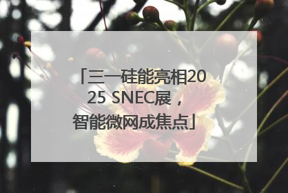 三一硅能亮相2025 SNEC展，智能微网成焦点
