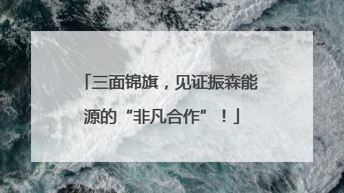 三面锦旗，见证振森能源的“非凡合作”！
