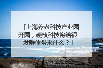 上海养老科技产业园开园，硬核科技将给银发群体带来什么？