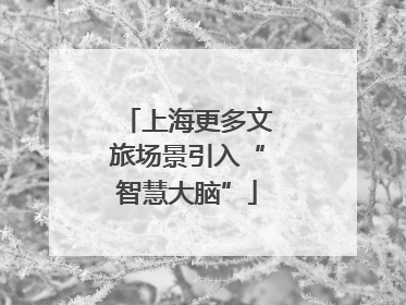 上海更多文旅场景引入“智慧大脑”
