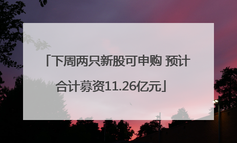 下周两只新股可申购 预计合计募资11.26亿元