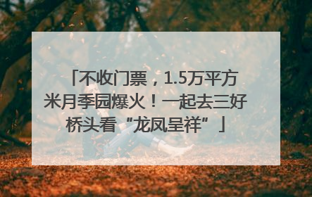 不收门票，1.5万平方米月季园爆火！一起去三好桥头看“龙凤呈祥”