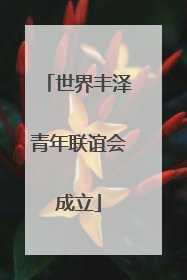 世界丰泽青年联谊会成立