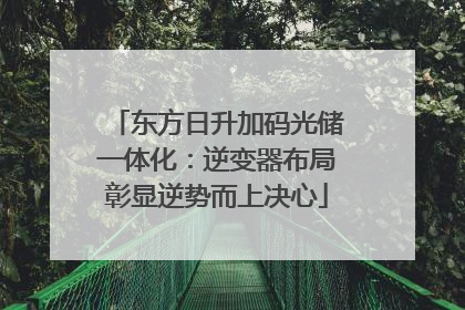 东方日升加码光储一体化：逆变器布局彰显逆势而上决心