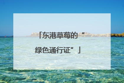 东港草莓的“绿色通行证”