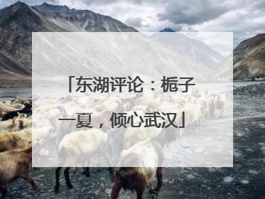 东湖评论：栀子一夏，倾心武汉