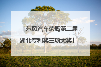 东风汽车荣膺第二届湖北专利奖三项大奖