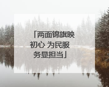 两面锦旗映初心 为民服务显担当