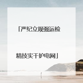 严纪立规强运检 精技实干护电网