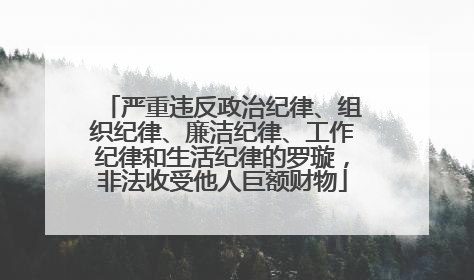 严重违反政治纪律、组织纪律、廉洁纪律、工作纪律和生活纪律的罗璇，非法收受他人巨额财物